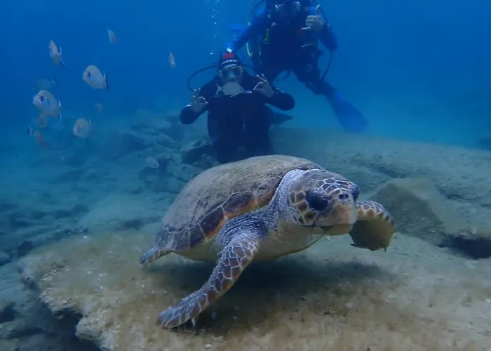 Enosis - Argo Beachside Flat *