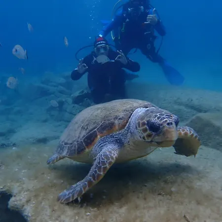 Enosis - Argo Beachside Flat *